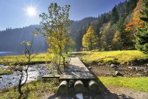 Daytime Lake Scene Prints: Boardwalk over the Seebach Stream