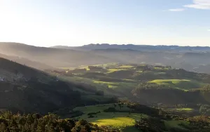 Uninhabited Nature Reserve NZ Prints: View from Mount Cargill of meadows and forests