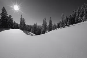 Black And White Winter Scene Prints: Winter forest with mountain range in backlight
