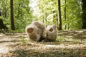 Teddy Left on a Forest Path Print