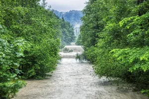 Southern Germany Waterfront Scenes Prints: A river with strong rapids between dense