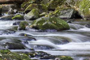 German Mountain Creek Prints: Bode in the Harz River Landscape