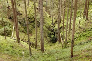 Upper Palatinate Nature Park Prints: Doline, solution doline, collapse doline