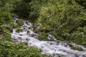 Uninhabited Mountain Creek Prints: Sources at Steyrursprung, Hinterstoder