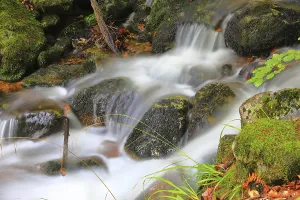 Motion Blur In Nature Prints: Stream in the forest, rock, long exposure