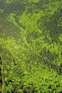 Germany Aerial View Prints: Thuringia, Germany, Thuringian Forest
