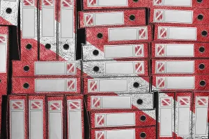 Deserted Government Buildings Prints: Diver Down Flag Colors Folder Stack