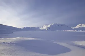 No People In The Snow Prints: White hell