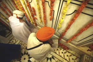 Traditional Sikh Attire Prints: Sikh devotee reading holy scriptures