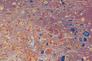 Traditional Ebru Art Prints: Abstract creative marble pattern texture