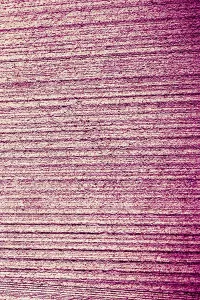 Category Historic EN Prints: Wall Surface Texture Print