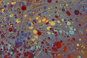 Marble Texture Background Prints: Abstract creative marble pattern texture