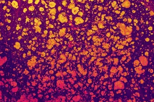 Traditional Ebru Art Prints: Abstract creative marble pattern texture