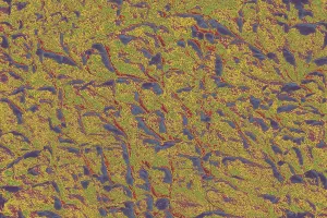 Empty Uninhabited Space Prints: Wall surface as a simple background texture pattern
