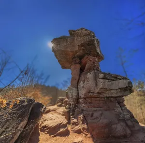 Palatinate Forest Scenery Prints: Devil's table in backlight