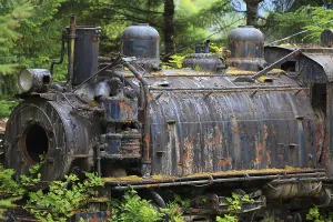 Old Fashioned Train Prints: Dampflok