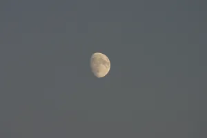German Democratic Republic History Image Prints: Our moon