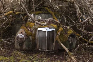 Abandoned Passenger Cars Prints: Oldtimer, Front View with grill