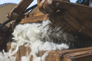 Manual Labor Prints: Manual processing of wool