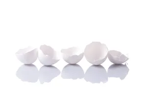 Studio Shot Of Eggs Prints: Isolated eggshells with reflection on white background