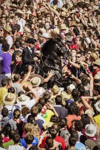 Prints of Horses dancing in the middle of the people, Des Born square, - caragol des Born -, Sant Joan festival. Ciutadella. Menorca, Balearic Islands, Spain Dance Prints: Horses Dancing in Des Born Square, Menorca, Spain Print
