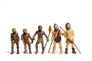 Catarrhine Mammal Species Prints: Human Evolution. Man Evolution Historical Monkey