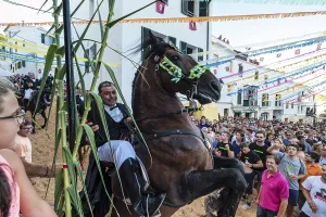 Prints of Traditional dance with horses, Jaleo, originating in the 14th century, Sant Bartomeu festivities, Ferreries, Menorca, Balearic Islands, Spain Dance Prints: Traditional Jaleo Dance with Horses Print, Menorca, Spain