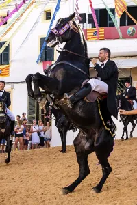 Prints of Traditional dance with horses, Jaleo, originating in the 14th century, Sant Bartomeu festivities, Ferreries, Menorca, Balearic Islands, Spain Dance Prints: Traditional Jaleo Dance Print, Ferreries, Menorca