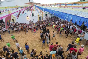 Prints of Traditional dance with horses, Jaleo, originating in the 14th century, Sant Bartomeu festivities, Ferreries, Menorca, Balearic Islands, Spain Dance Prints: Traditional Jaleo Dance with Horses Print, Menorca, Spain