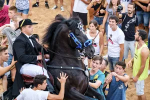 Prints of Traditional dance with horses, Jaleo, originating in the 14th century, Sant Bartomeu festivities, Ferreries, Menorca, Balearic Islands, Spain Dance Prints: Traditional Dance with Horses Print, Ferreries, Menorca, Spain