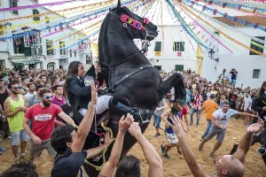 Prints of Traditional dance with horses, Jaleo, originating in the 14th century, Sant Bartomeu festivities, Ferreries, Menorca, Balearic Islands, Spain Dance Prints: Traditional Jaleo Dance with Horses Print, Menorca, Spain