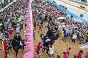 Prints of Traditional dance with horses, Jaleo, originating in the 14th century, Sant Bartomeu festivities, Ferreries, Menorca, Balearic Islands, Spain Dance Prints: Traditional Jaleo Dance with Horses Print, Ferreries, Menorca