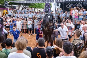 Prints of Traditional horse dance Jaleo, originating in the 14th century, Sant Lluis festivities, Sant Lluis village, Menorca, Balearic Islands, Spain Traditional horse dance Jaleo Dance Prints: Traditional Horse Dance Jaleo Print, Menorca, Spain