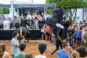 Prints of Traditional horse dance Jaleo, originating in the 14th century, Sant Lluis festivities, Sant Lluis village, Menorca, Balearic Islands, Spain Traditional horse dance Jaleo Dance Prints: Traditional Horse Dance Jaleo Print, Menorca, Spain