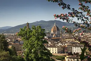 Central Italy Historic Quarter View Prints: Cathedral dome, view over the rooftops