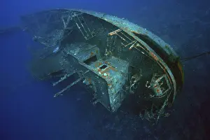 Underwater World Sport Prints: Cedar Pride wreck sunk for divers