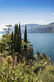 Veneto Region Italy Prints: Cedars and cypresses, Malcesine