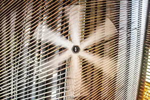 Deserted Heat Wave Scene Prints: Ceiling fan rotating, movement, ventilation