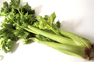 Leafy Greens Food Prints: Celeriac