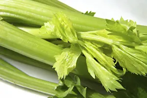 Leafy Greens Food Prints: Celeriac