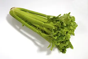 Leafy Vegetable Images Prints: Celery