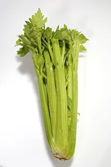 Leafy Vegetable Images Prints: Celery