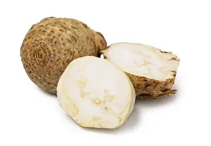 Studio Shot Food Images Prints: Celery root isolated on white background