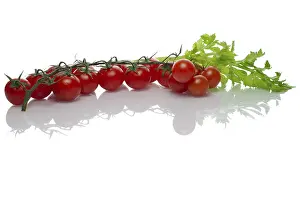 Vegetable Still Life Prints: Celery and tomato with reflection on white background