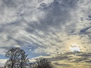 Nice Weather Conditions Prints: In the center of the image