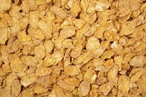 Cornflakes Nutrition Prints: Cereal