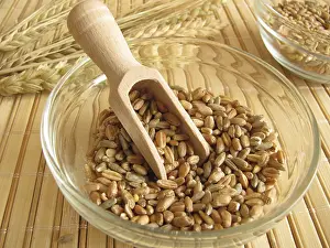 Agricultural Landscape Prints: Cereal mixture