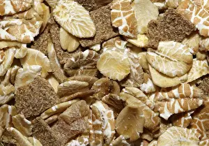 Organic Oatmeal Prints: Cereals