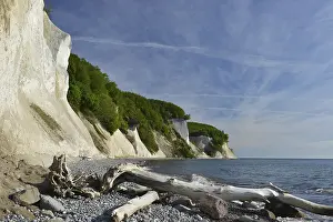 Steep Cliff Face Europe Prints: The chalk cliffs of Rugen