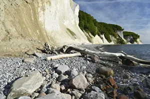 Rgen Chalk Cliffs Prints: The chalk cliffs of Rugen